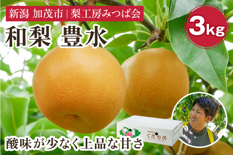 
            【2026年先行予約】新潟県産 和梨 豊水 3kg（6～10玉）《9月上旬以降発送》ほうすい 果物 フルーツギフト 秋の味覚 加茂市 梨工房みつば会
          