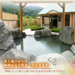 温泉 回数券 11回分 チケット 天然温泉 炭酸泉 サウナ 家族 旅行 ゆっくり のんびり リラックス 癒し 入浴 静岡県 藤枝市