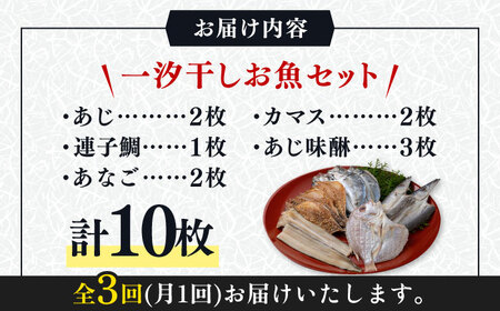 【全3回定期便】対馬 一汐干し お魚 セット 5種10枚 詰め合わせ アジ 穴子 カマス 連子鯛 干物 海産物 [WAI033]