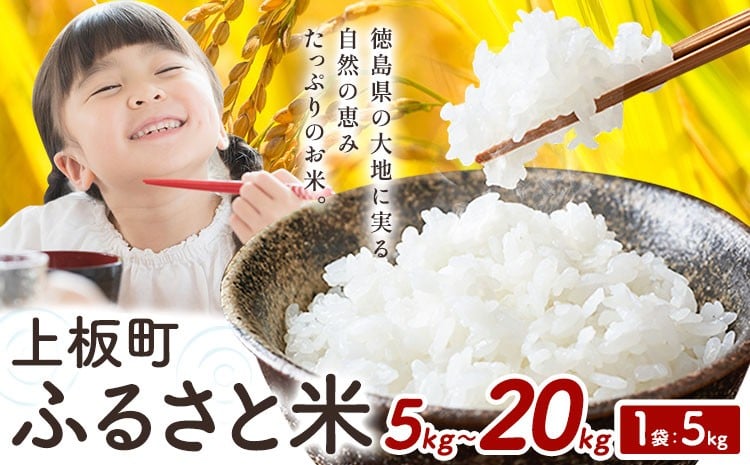 
            もちもち美味しい！ 上板町ふるさと米 精米 5kg～20kg 《11月中旬-12月末頃出荷》徳島県 上板町 お米 米 白米
          