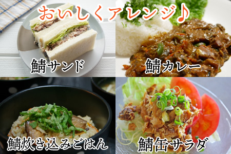 鯖水煮缶詰24缶セット 180g×24缶 [D-003007]