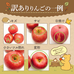 訳あり りんご 3kg  9月 サンつがる  青森【2025年 リンゴ 林檎 果物 クール便】 
