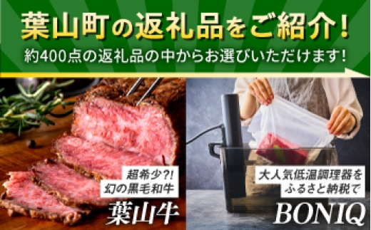 牛肉 葉山牛 プリン スイーツ 宿泊券 旅行 定期便 神奈川 葉山 カタログギフト
