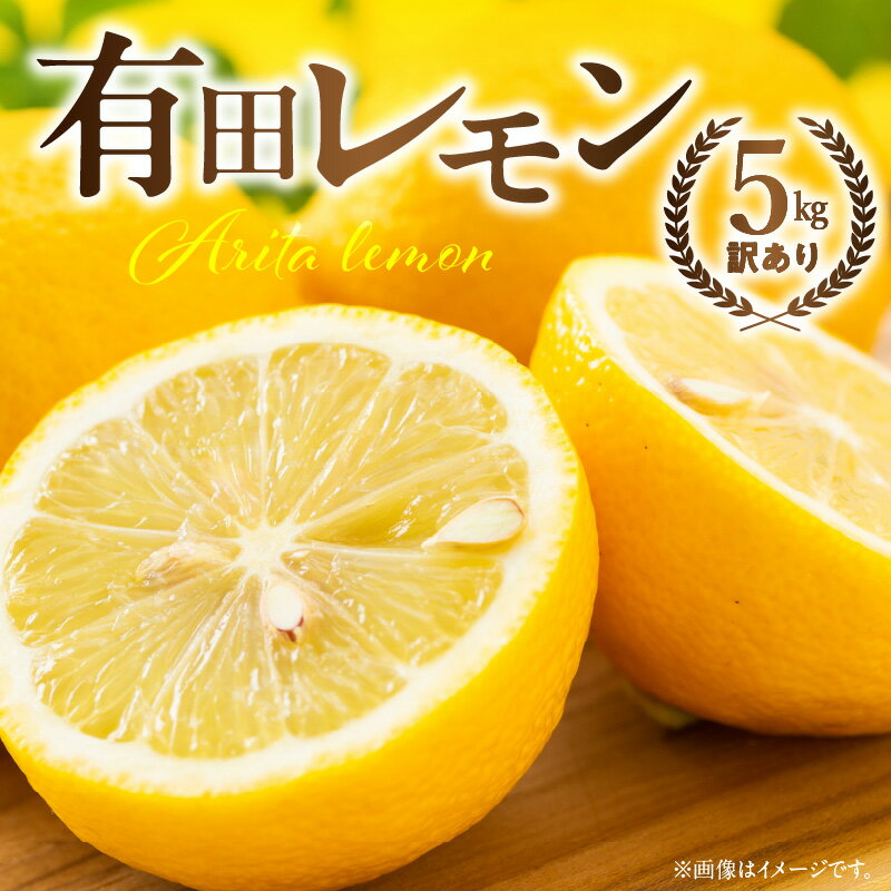 【ふるさと納税】国産有田レモン約5kg【訳あり 家庭用】【国産 レモン 柑橘 フルーツ 和歌山】