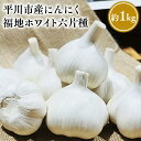 【ふるさと納税】青森県産 にんにく 福地ホワイト六片種 約1kg【青森県 平川市 しあわせj-Farm】ニンニク 白ニンニク 野菜 やさい ガーリック 福地ホワイト レビューキャンペーン