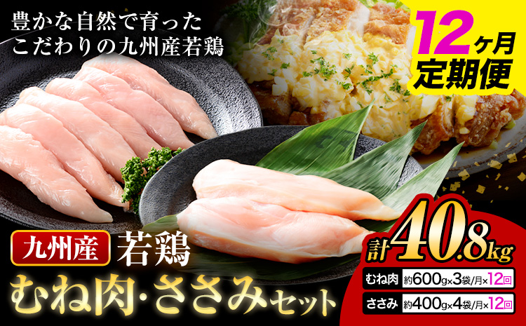 【12ヶ月定期便】 九州産 むね肉（600g×3袋）・ささみ（400g×4袋）鶏肉 お肉 ムネ肉 2種類 小分け 冷凍 詰め合わせ 九州産 国産 熊本県 菊池市 送料無料《お申込み翌月から出荷》