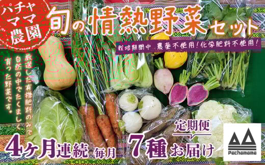 【4ヶ月連続お届け】農園自慢の情熱野菜セット（7品）【野菜 詰め合わせ お任せ 季節物 定期便 セット 山芋 パセリ わさび菜 ポップコーン かぶ 人参 里芋 たまねぎ 玉ねぎ ルッコラ ほうれん草 春菊 大根 芽キャベツ レタス じゃがいも さつまいも とうもろこし そら豆 枝豆 パクチー ビーツ ほうれん草 キャベツ ピーマン なすトマト かぼちゃ】