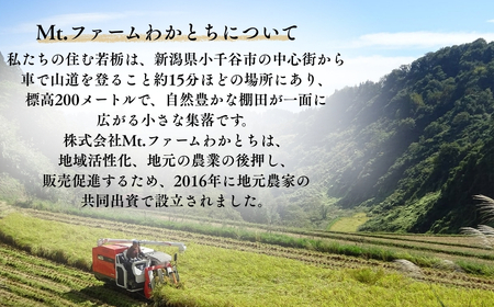 杵つき手のし餅「わかとちのもち」食べ比べ 白もち＆黒米もち 500g×2個 Mt.ファームわかとち | 新潟県 小千谷市 お正月