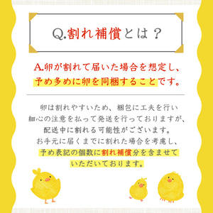 No.782 鹿児島県産有精卵(40個) 割れ保証付 国産 九州産 鹿児島県産 たまご タマゴ 有精卵 卵 鶏卵 生卵 おかず TKG 卵かけご飯 朝食 数量限定【美山たまご王国】