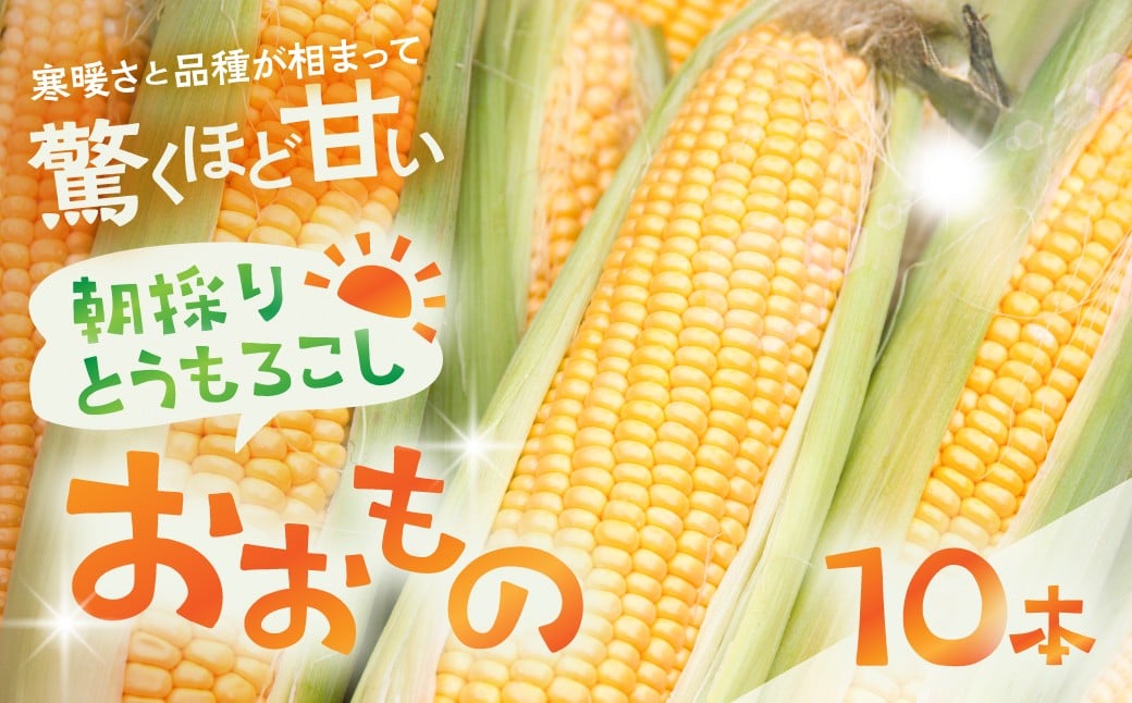 
            先行予約【2026年7月中旬～10月20日発送】郡上市産 朝どれとうもろこし 10本入 とうもろこし トウモロコシ 大粒 甘い おいしい おおもの コーン 野菜 やさい 旬 夏 BBQ 焼肉 10000円 1万円
          