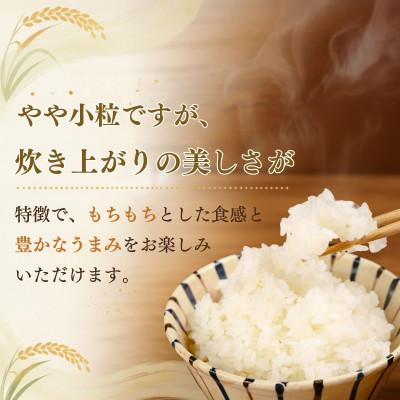 ふるさと納税 豊田市 【令和8年産】精米「ミネアサヒ」5kg |  | 01