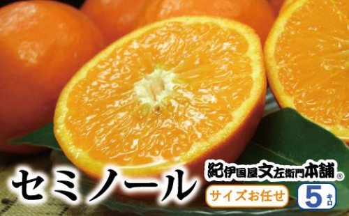 セミノールオレンジ 約5kg/サイズおまかせ　※2023年4月中旬～5月下旬頃に順次発送予定(お届け日指定不可)　紀伊国屋文左衛門本舗　

