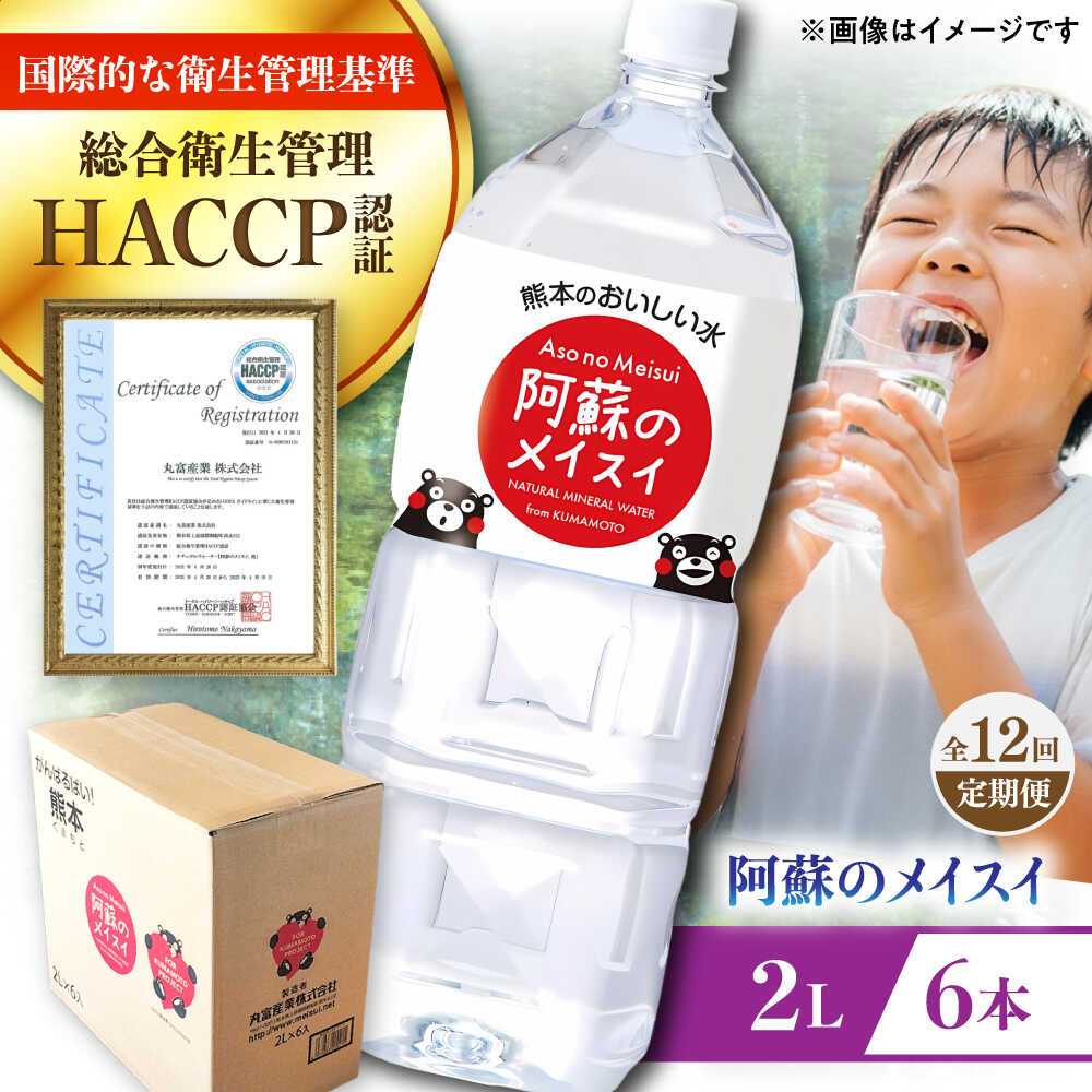 【ふるさと納税】【全12回定期便】阿蘇のメイスイ 2L 6本×1ケース 天然水 水 ミネラルウォーター 備蓄 熊本 菊陽町 【丸富産業株式会社】[BHDG026]