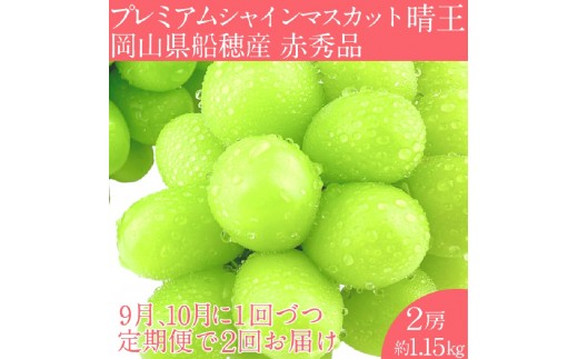 
                  2026年 先行予約【2回定期便】 プレミアム シャインマスカット 晴王 2房約1.15kg/ 岡山県 船穂産 赤秀品 種無し 皮ごと食べる みずみずしい 9月10月に1回づつ届け フレッシュ 晴れの国 おかやま 果物大国 彩美菜果
                
