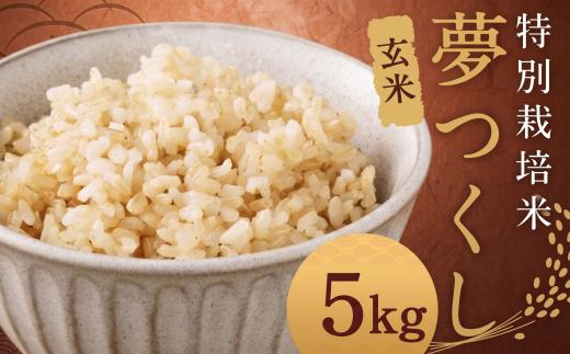 【令和8年度産先行予約】【玄米】 夢つくし （特別栽培米） 約5kg 福岡県産 令和8年産 玄米 米 こめ コメ
