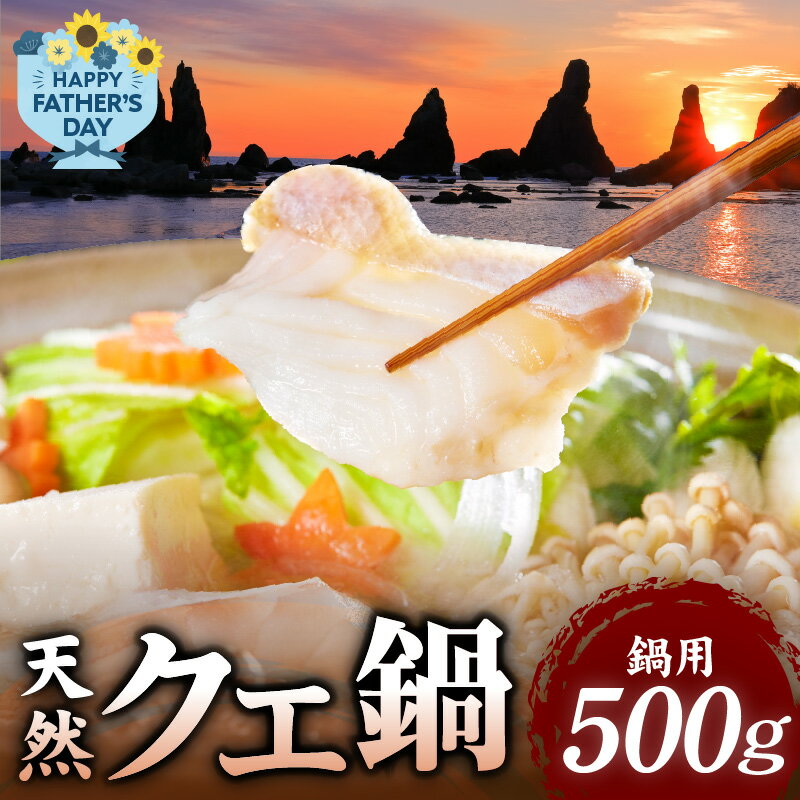 【ふるさと納税】【父の日までにお届け！】天然 クエ 500g 鍋用 切り分け 簡単 格別 旨味 白身 弾力 コク 上品 甘み 鮮魚 魚 くえ鍋専門店 福井鮮魚 父の日 ギフト 国産 お取り寄せ お取り寄せグルメ 和歌山県 湯浅町 送料無料