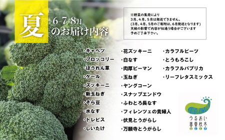 こだわり 野菜セット 9品 以上 【予約受付 26年6月発送開始予定】うるおい春夏秋冬 C0493 詰め合わせ 季節の野菜 国産