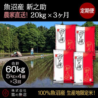 ふるさと納税 十日町市 【毎月定期便】【中里地域限定!魚沼産 新之助】20kg(5kg×4袋)×3 合計60kg全3回