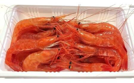 【獲れたての味！】甘エビ３００ｇ×３パックセット_Y022-0024
