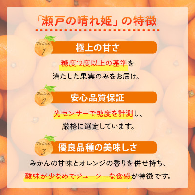 【先行受付】JAおちいまばり 瀬戸の晴れ姫(はれひめ)4kg、12月〜1月に発送【1086043】
