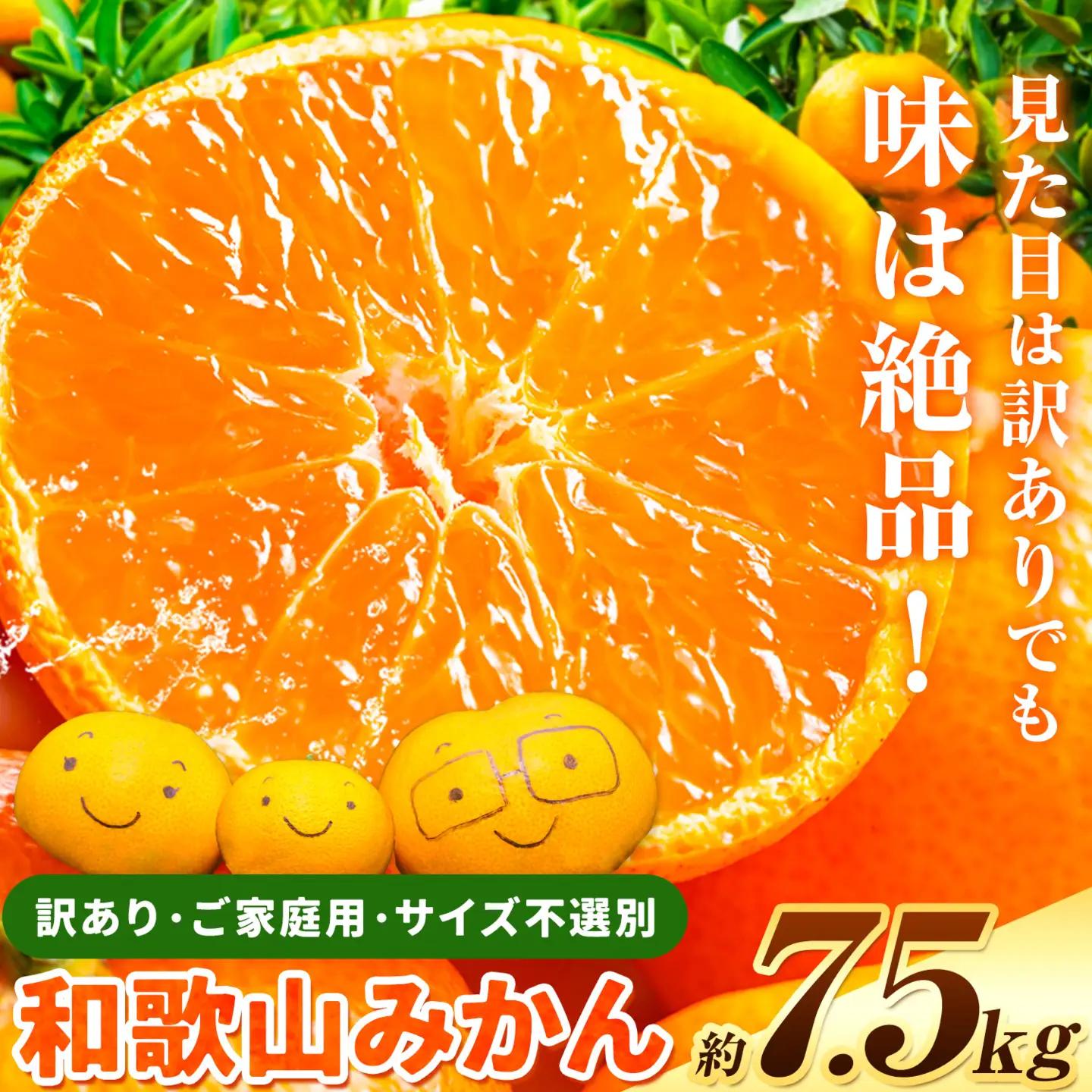 みかん 訳あり 和歌山みかん 約7.5kg