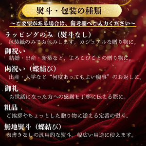 【熨斗】	サッポロ ビール エビス ヱビス 500ml×24本 千葉県 船橋市 缶ビール お酒