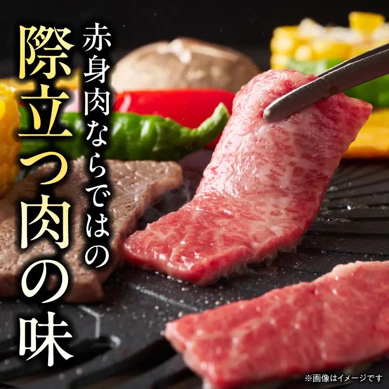 牛肉 赤身 牛肉[宮崎牛 ウデ・モモ 焼肉 500g]