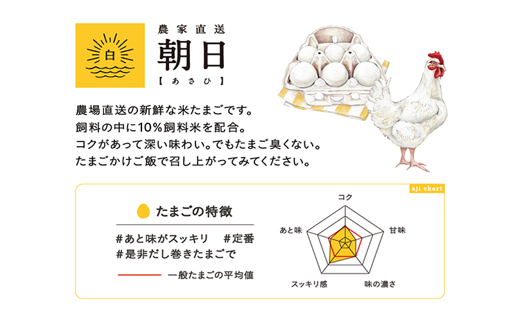 【12ヵ月定期便】ココテラスの朝日（白たまご）35個 + 5個保証（計40個）