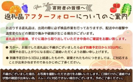 令和7年新米 真庭市産きぬむすめ 無洗米 10kg / お米 国産 岡山県 米 人気 ブランド 2025年産 【tkns008-01】
