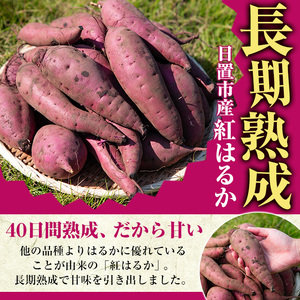 さつまいも サツマイモ 紅はるか 訳あり 2kg 末永商店 No.560-C