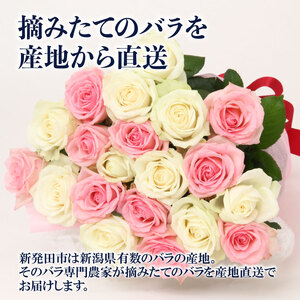定期便 バラの花束 薔薇 花束 花束 花束 花束 花束 ブーケ G05_03
