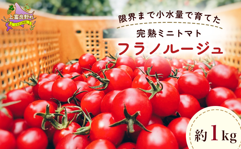 訳あり 北海道 完熟 新鮮 ミニトマト フラノルージュ 1kg 上富良野 自宅用 野菜 産地直送