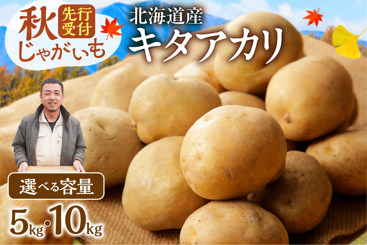 
            先行受付【選べる内容量！】ホクホク！しっとりなめらか！ 北海道産 キタアカリ いも じゃがいも きたあかり 約5kg じゃがいも いも 芋 産地直送 秋_S041
          