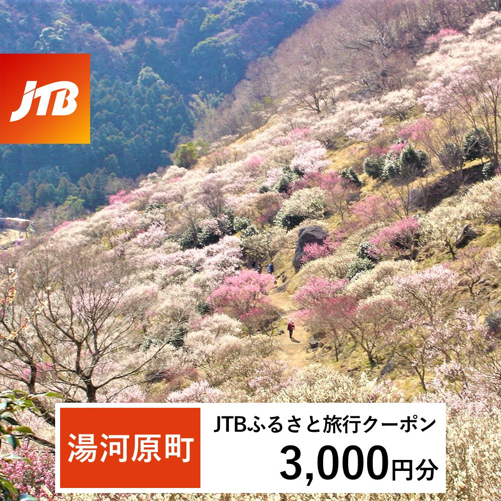 【湯河原町】JTBふるさと旅行クーポン（3,000円分）有効期間3年（Eメール発行）｜旅行 トラベル 予約 国内旅行 JTB 宿泊 観光 体験 旅行券 宿泊券 旅行予約 温泉 ホテル 旅館 チケット 子供 子連れ カップル 家族 人気 おすすめ 旅行クーポン 店頭 オンライン ネット予約 電話 有効期間3年
