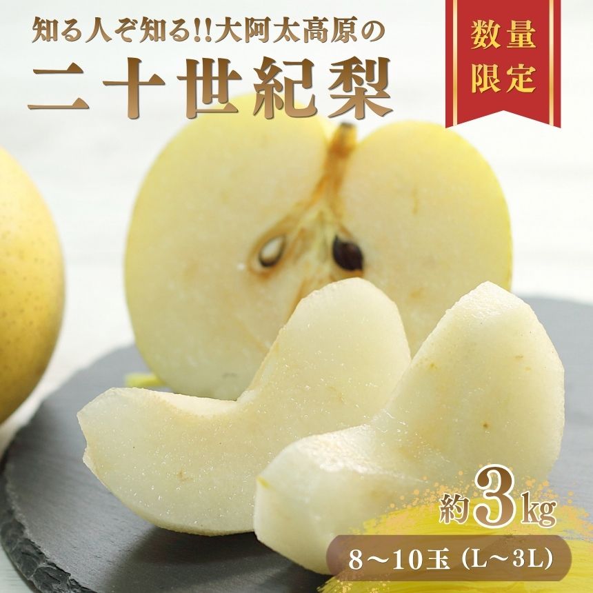 【ふるさと納税】先行予約 二十世紀梨 約3kg L 〜 3L （ 8玉 〜 10玉 ） | 果物 くだもの フルーツ 梨 なし ジューシー 完熟 期間限定 産地直送 大淀町 大阿太高原 奈良