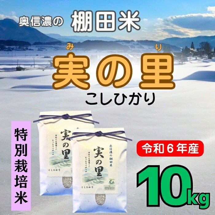 【ふるさと納税】 [令和6年産] 特別栽培米 『奥信濃の棚田米 実の里』 こしひかり 精米 10kg(6-60C)【 米 コシヒカリ こしひかり 新米 予約 長野県 飯山市 ギフト プレゼント 父の日 母の日 敬老の日 お歳暮 御歳暮 令和6年 6年産米】
