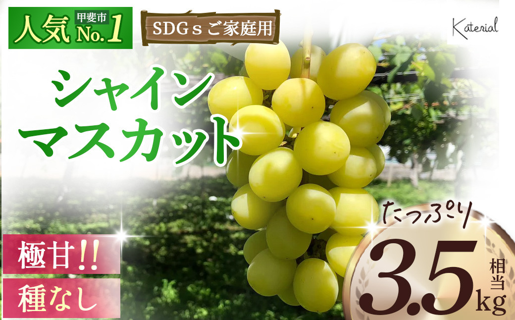 
【2025年分発送】 訳あり 家庭用 シャインマスカット 3.5㎏相当 SDGs 先行予約 先行 予約 山梨県産 産地直送 フルーツ 果物 くだもの ぶどう ブドウ 葡萄 シャイン シャインマスカット 新鮮 人気 おすすめ 国産 贈答 ギフト お取り寄せ わけあり ワケアリ 新鮮 甘い 皮ごと 山梨 甲斐市 AD-272
