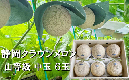 クラウンメロン 山等級 マスクメロン 青肉 クラウンメロン【中玉 1.3kg前後 6玉】