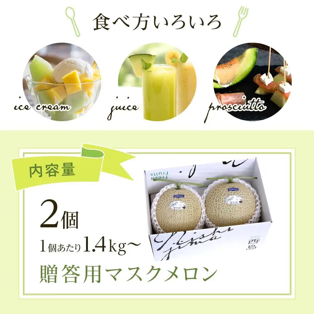 【先行予約】マスクメロン（贈答用） 2玉入 青肉品種 高級メロン！ ／ マスクメロン 果物 フルーツ ギフト 農家直送 NE015