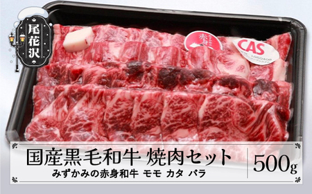 焼肉セット 500g  モモ カタ バラ みずかみの赤身和牛 国産黒毛和牛 スキンパック包装  山形県 尾花沢市 牛肉 お肉 国産 国産牛 赤身 赤身和牛 ヘルシー 焼肉 00724A