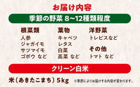 【シェフの目線】栽培期間中農薬不使用！旬のお野菜セット×クリーン白米【ふるさと納税限定】　愛媛県大洲市/有限会社ヒロファミリーフーズ [AGBX009]野菜セット野菜セット野菜セット野菜セット野菜セッ