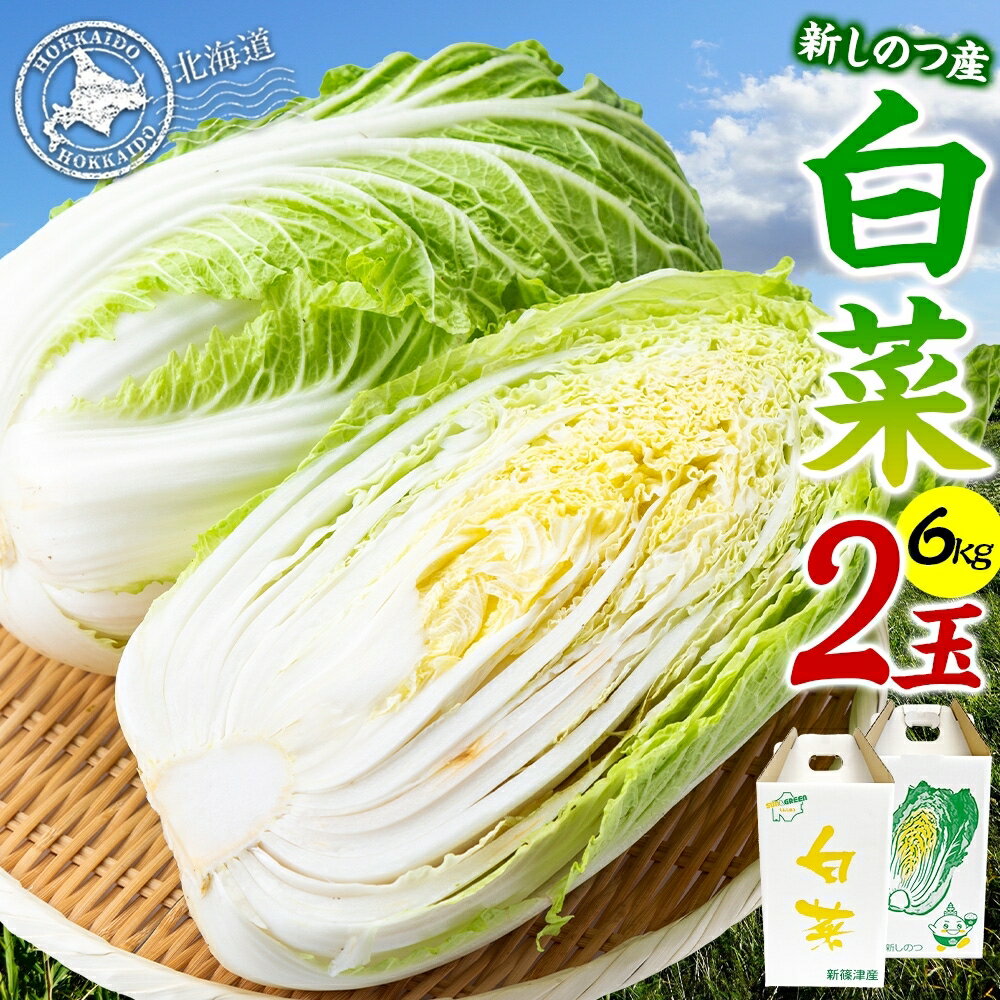 【ふるさと納税】新しのつ産 白菜 2玉 約6kg はくさい ハクサイ 旬 国産 新鮮 北海道産 甘い シャキシャキ 漬物 冬料理 鍋 キムチ サラダ 産地直送 お取り寄せ 北海道 新篠津村 　お届け：2026年8月下旬から2027年1月下旬