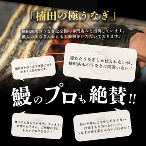 楠田の極うなぎ 蒲焼き 1尾(230g以上) a2-036
