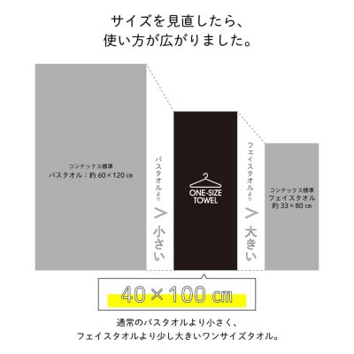 (今治タオル) ワンサイズタオル  2枚セット (ブルー)【I00180FT2B】【1505939】