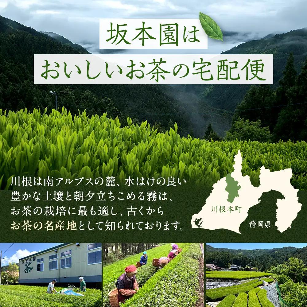9-2 本格茶葉の手間なしティーバッグ3袋