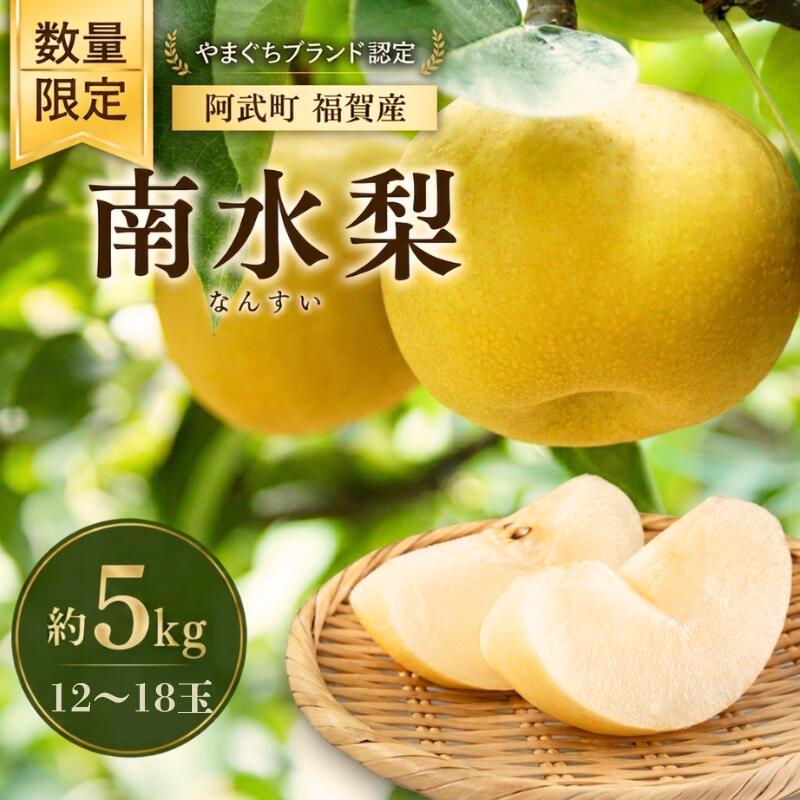 【ふるさと納税】梨 福賀の南水梨 約5kg 12～18玉 山口県阿武町産 高糖度 シャキシャキ食感 数量限定 【2026年9月20日頃～順次発送】