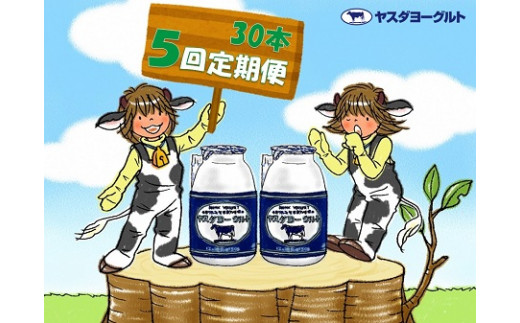 【5ヶ月定期便】ヤスダヨーグルト 150g×30本×5回 小ボトル 無添加 搾りたて こだわり生乳 濃厚 飲むヨーグルト のむよーぐると ヨーグルト 1B13066