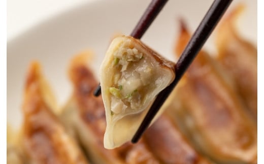 いちのせき もち餃子 ぎょうざ ギョウザ ギョーザ 惣菜 岩手県 一関市 焼き餃子 水餃子 冷凍