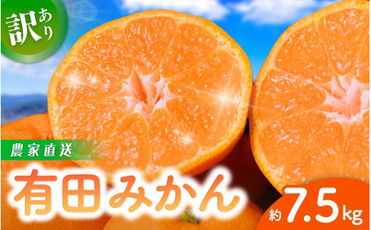 【訳あり】農家直送  有田みかん 約7.5kg ご家庭用 サイズ混合 （お届け日指定不可）【先行予約】※2026年11月～2027年1月に順次発送予定　※北海道・沖縄・離島への配送不可　訳ありみかん サイズ混合 温州みかん 有機質肥料100% ふるさと納税 柑橘 有田 産地直送 みかん くだもの フルーツ 果物  ミカン【nuk157F】