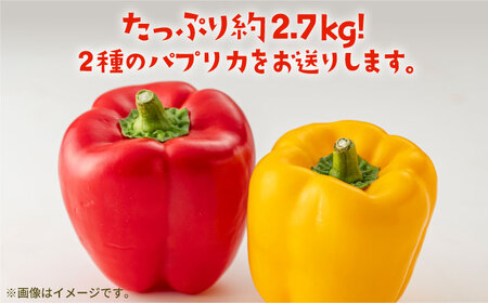 【肉厚ジューシー】五島のパプリカ 約2.7kg 五島市/HPIファーム  [PCP003]  野菜 やさい 国産 新鮮 緑黄色野菜 産地直送 とれたて